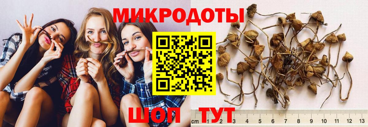 Изобильный  Галлюциногенные грибы Cubensis  Галлюциногенные грибы Cubensis  Вход с VPN 